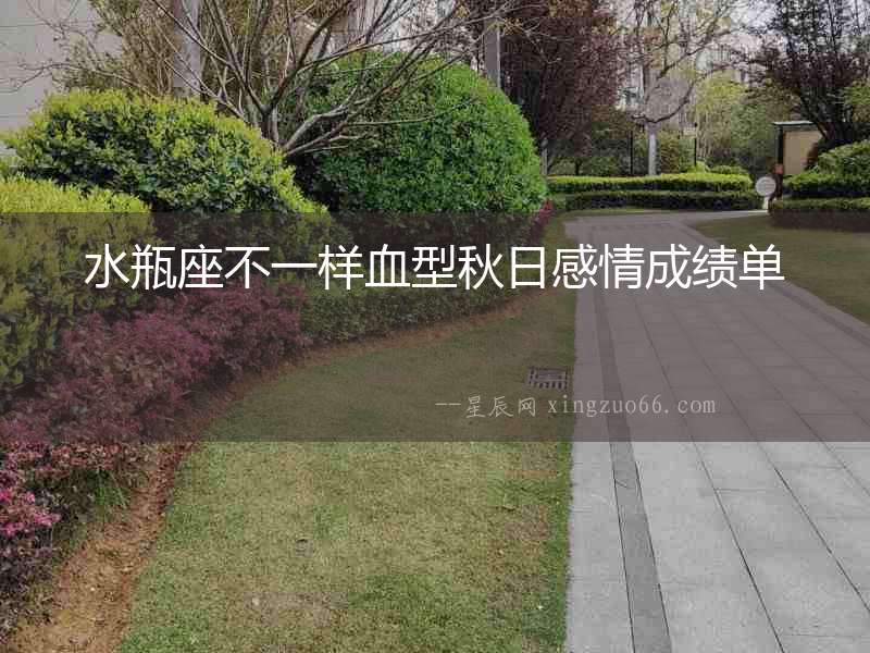 水瓶座不一樣血型秋日感情成績單