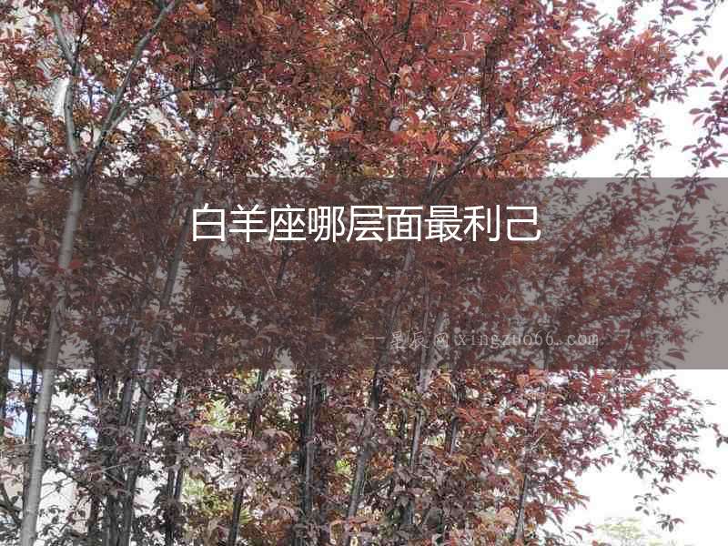 白羊座哪層面最利己