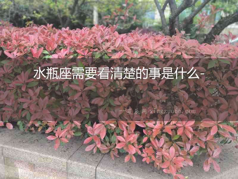 水瓶座需要看清楚的事是什么-