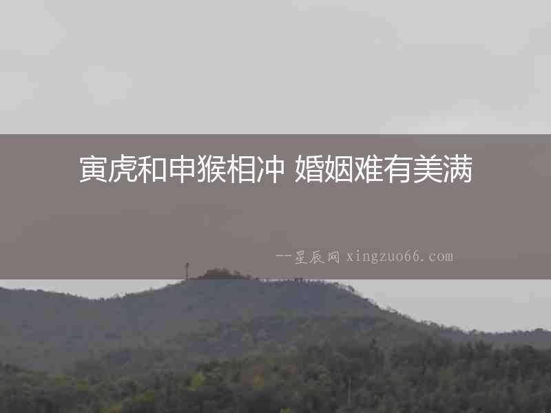 寅虎和申猴相沖 婚姻難有美滿