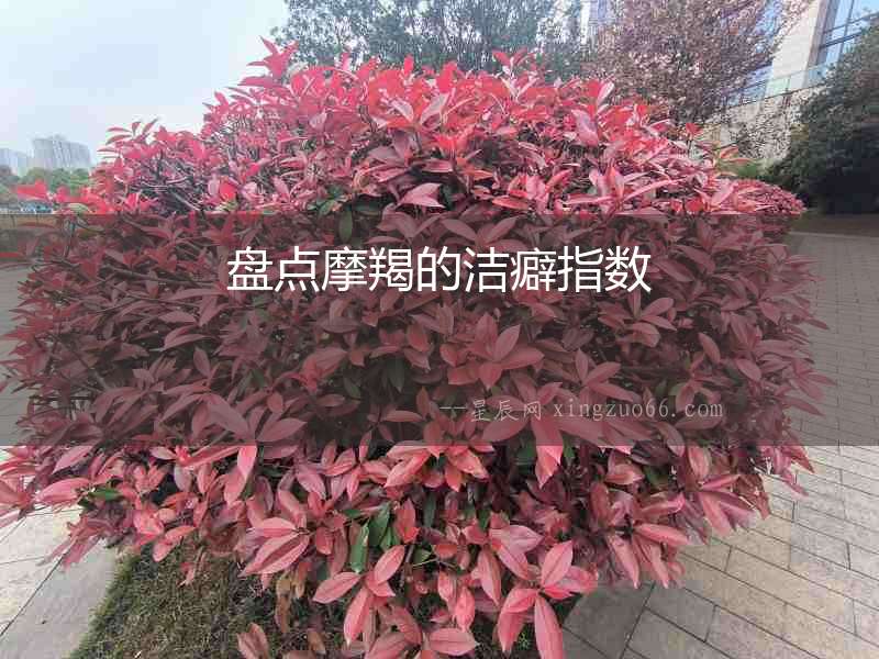 盤點摩羯的潔癖指數