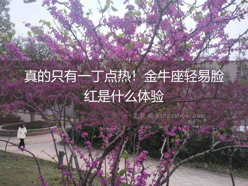 真的只有一丁點(diǎn)熱！金牛座輕易臉紅是什么體驗(yàn)