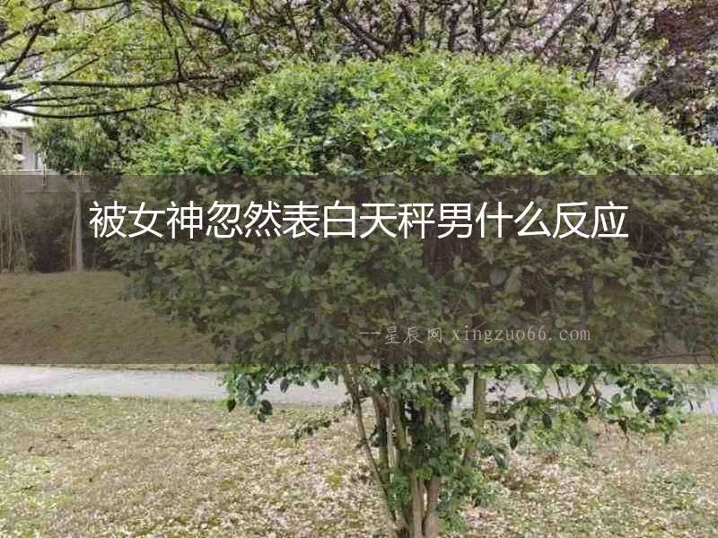 被女神忽然表白天秤男什么反應(yīng)