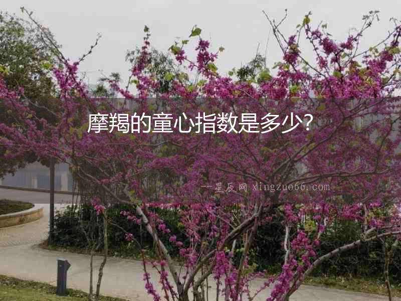 摩羯的童心指數是多少？