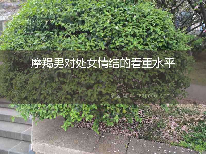 摩羯男對(duì)處女情結(jié)的看重水平