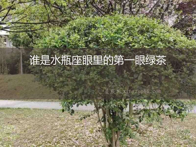 誰是水瓶座眼里的第一眼綠茶