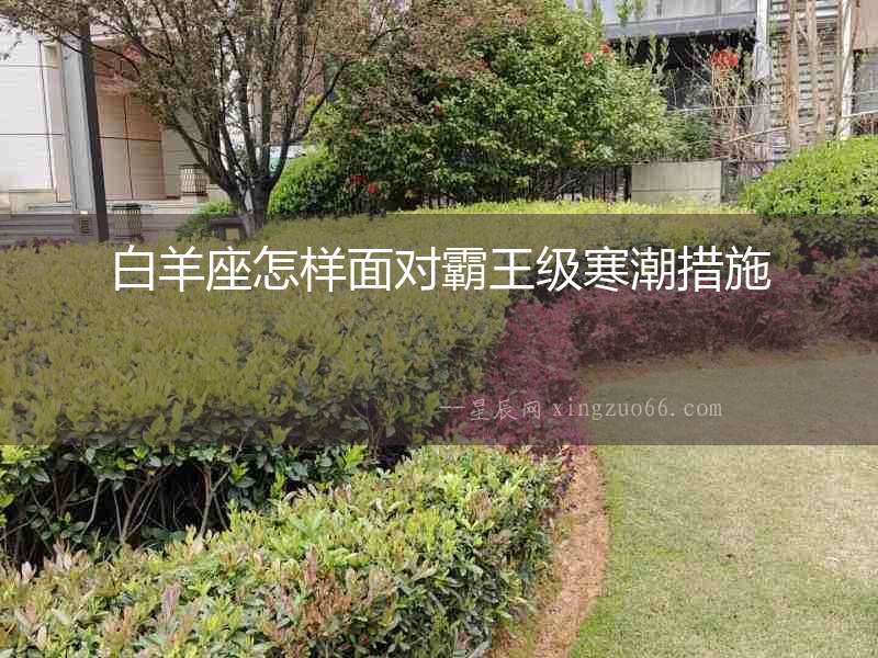 白羊座怎樣面對霸王級寒潮措施