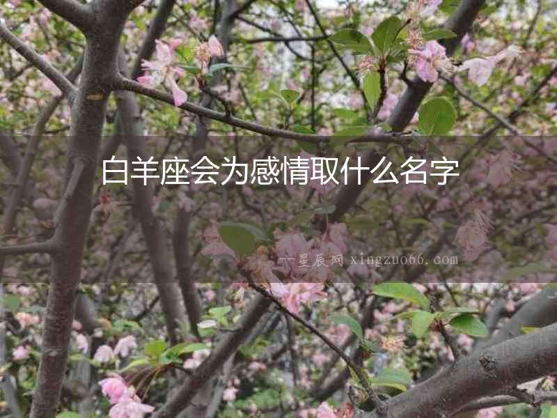 白羊座會為感情取什么名字