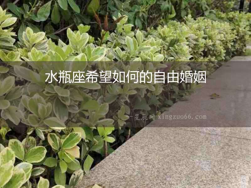 水瓶座希望如何的自由婚姻