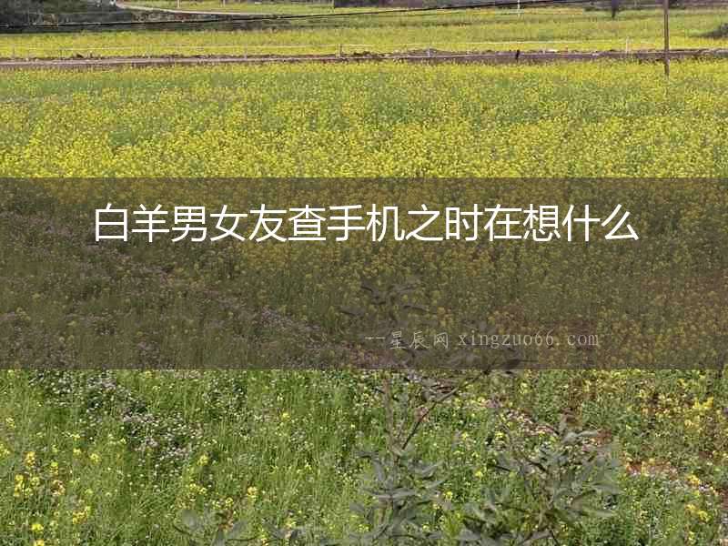 白羊男女友查手機之時在想什么