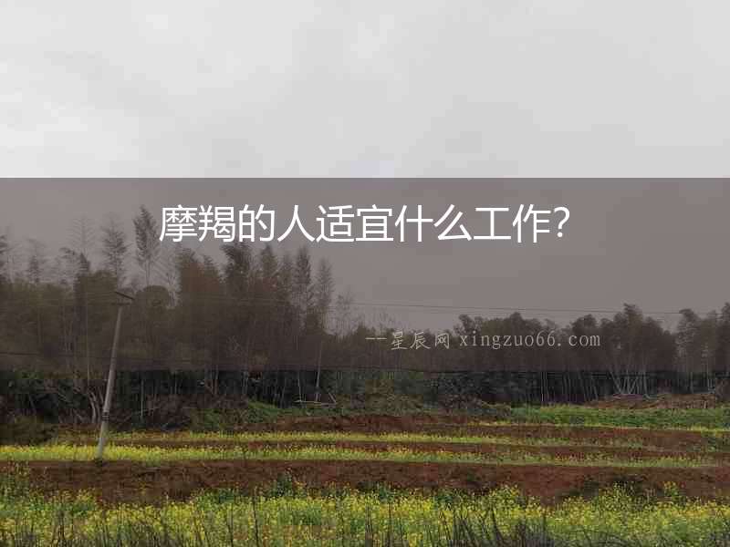 摩羯的人適宜什么工作？