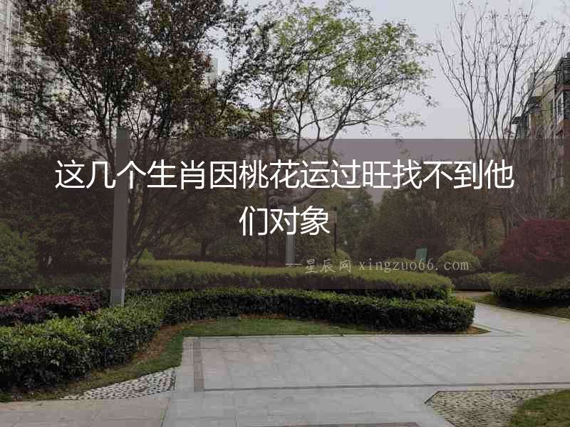 這幾個生肖因桃花運(yùn)過旺找不到他們對象