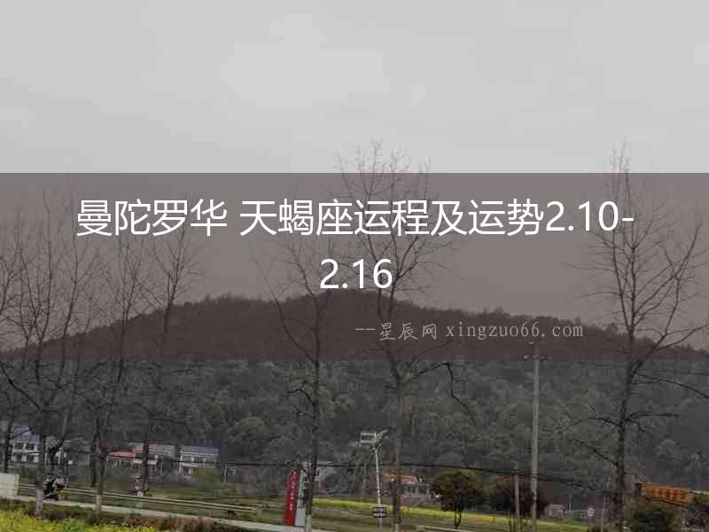 曼陀羅華 天蝎座運程及運勢2.10-2.16