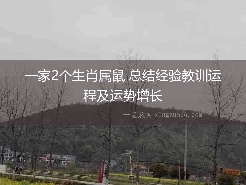一家2個生肖屬鼠 總結經驗教訓運程及運勢增長
