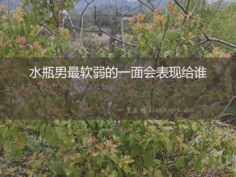 水瓶男最軟弱的一面會(huì)表現(xiàn)給誰