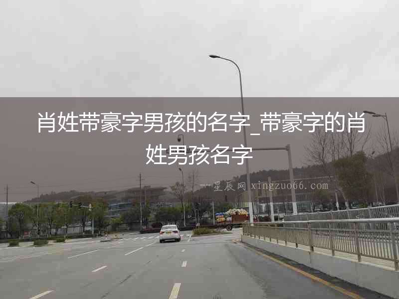 肖姓帶豪字男孩的名字_帶豪字的肖姓男孩名字
