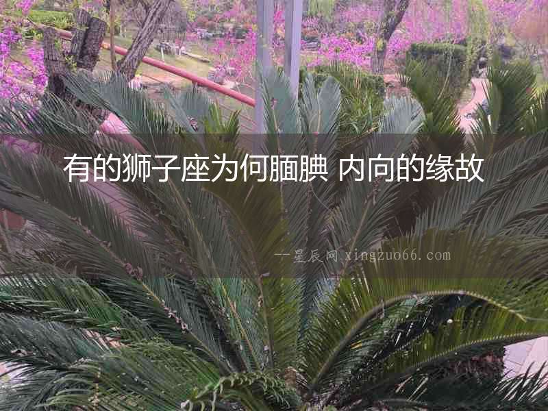 有的獅子座為何靦腆 內(nèi)向的緣故