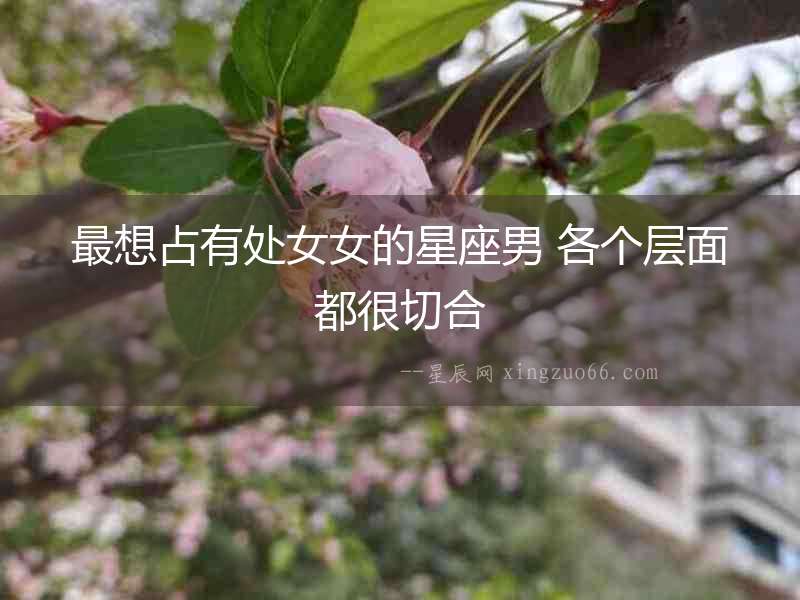 最想占有處女女的星座男 各個層面都很切合