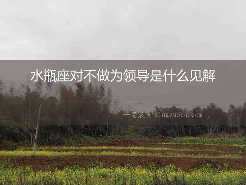 水瓶座對不做為領導是什么見解