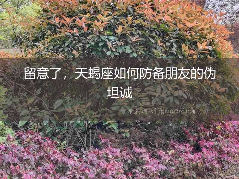 留意了，天蝎座如何防備朋友的偽坦誠