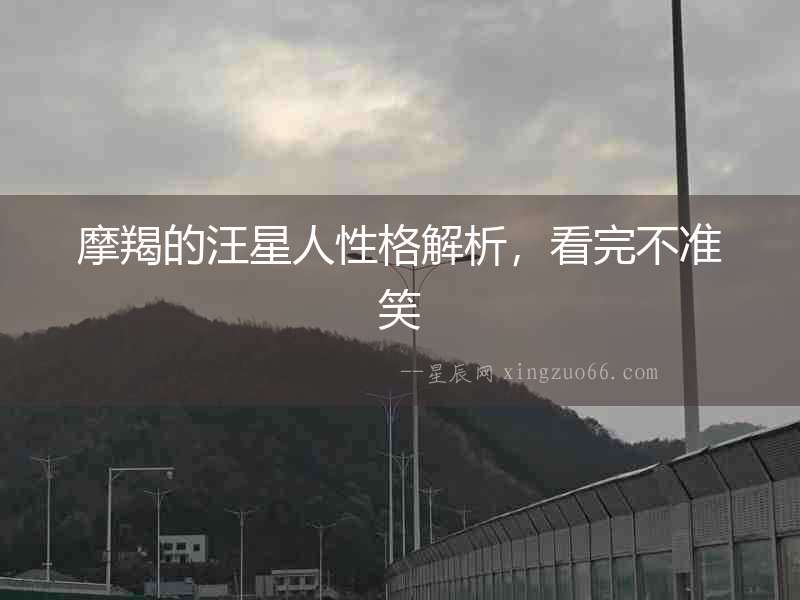 摩羯的汪星人性格解析，看完不準笑