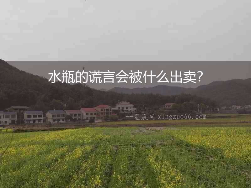 水瓶的謊言會被什么出賣？