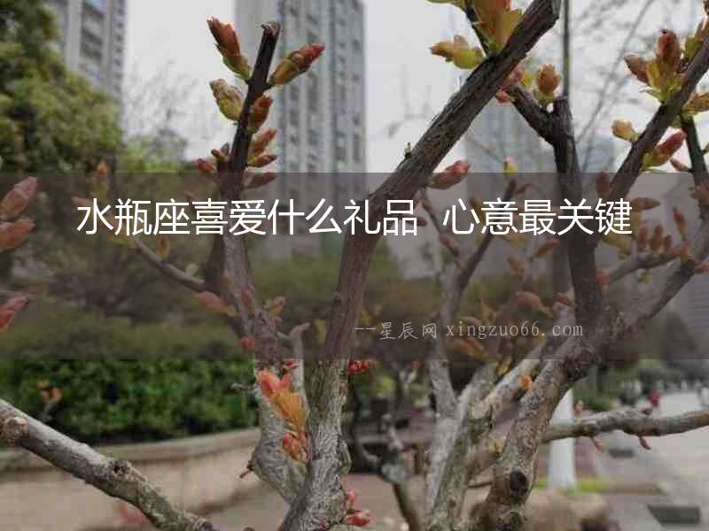 水瓶座喜愛什么禮品  心意最關鍵