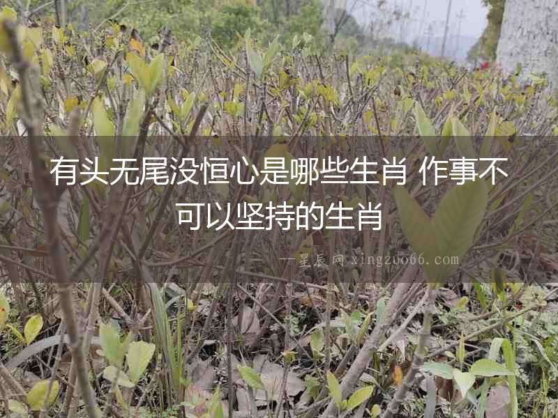 有頭無尾沒恒心是哪些生肖 作事不可以堅持的生肖