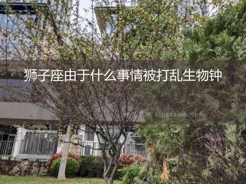 獅子座由于什么事情被打亂生物鐘