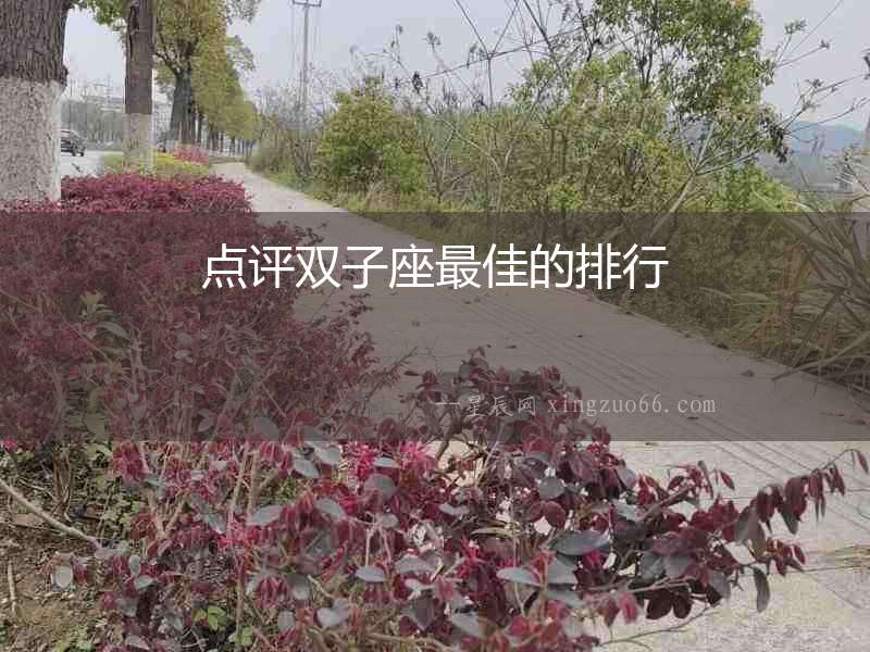 點評雙子座最佳的排行