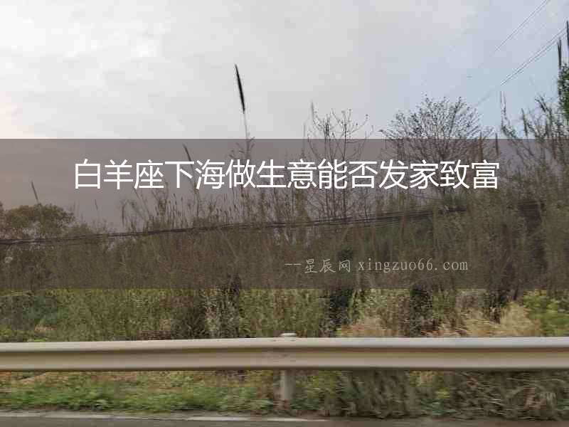 白羊座下海做生意能否發家致富