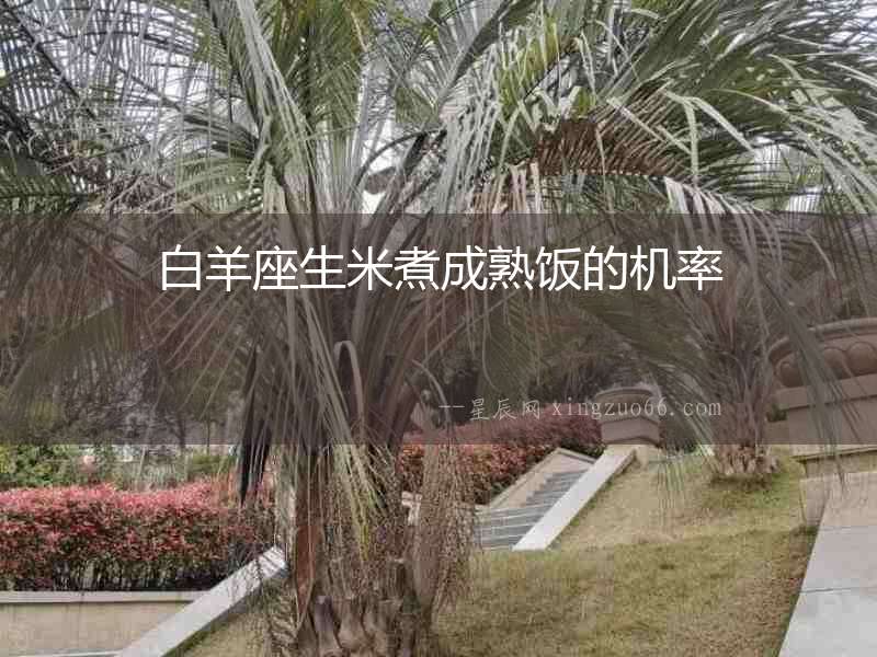 白羊座生米煮成熟飯的機(jī)率