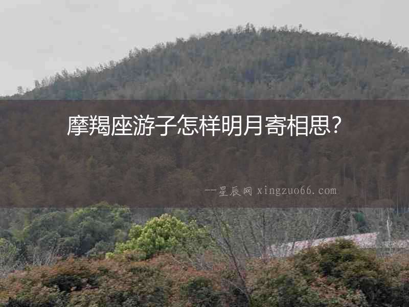 摩羯座游子怎樣明月寄相思？