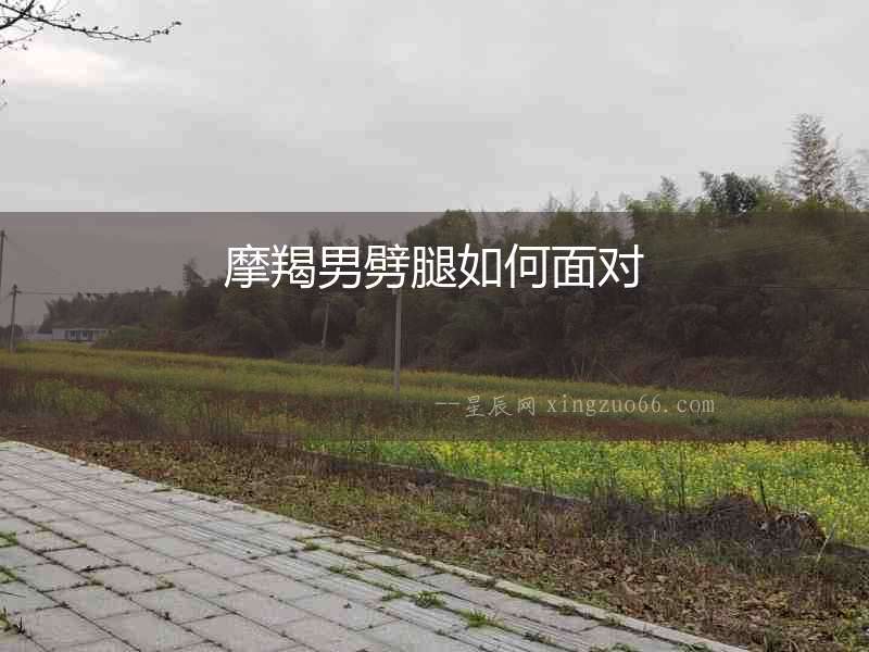 摩羯男劈腿如何面對