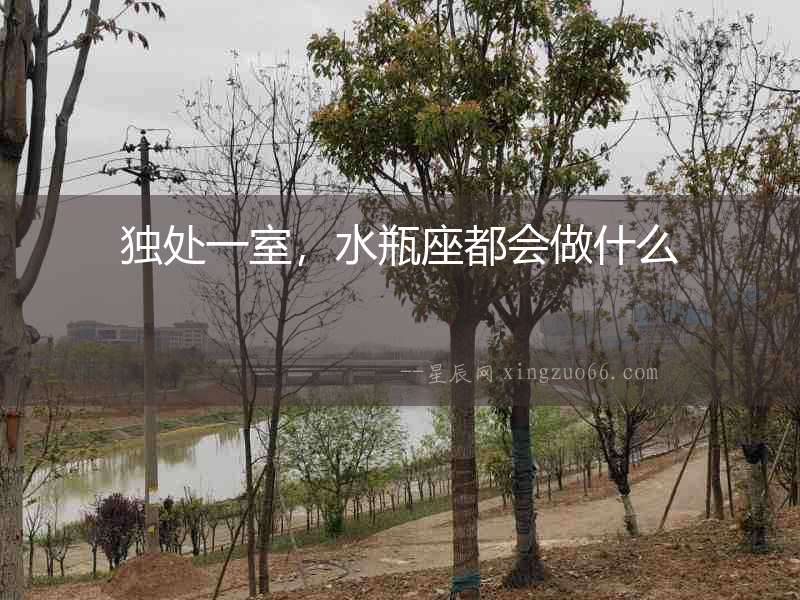 獨處一室，水瓶座都會做什么