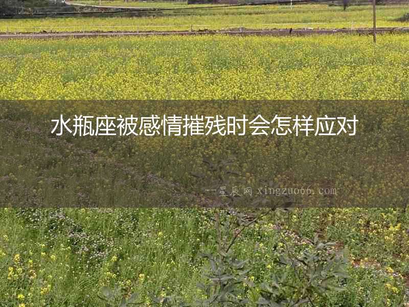 水瓶座被感情摧殘時會怎樣應(yīng)對
