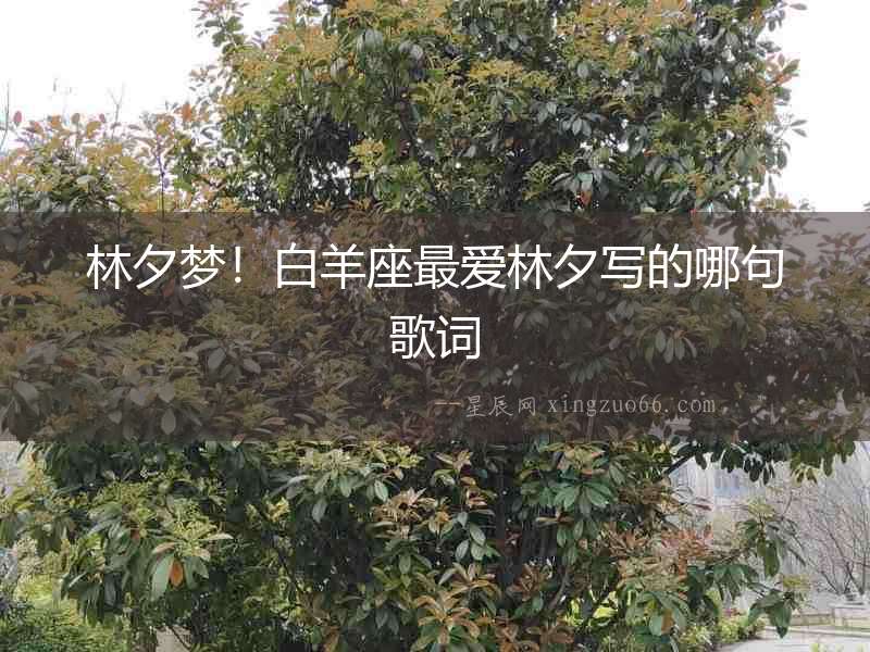 林夕夢！白羊座最愛林夕寫的哪句歌詞