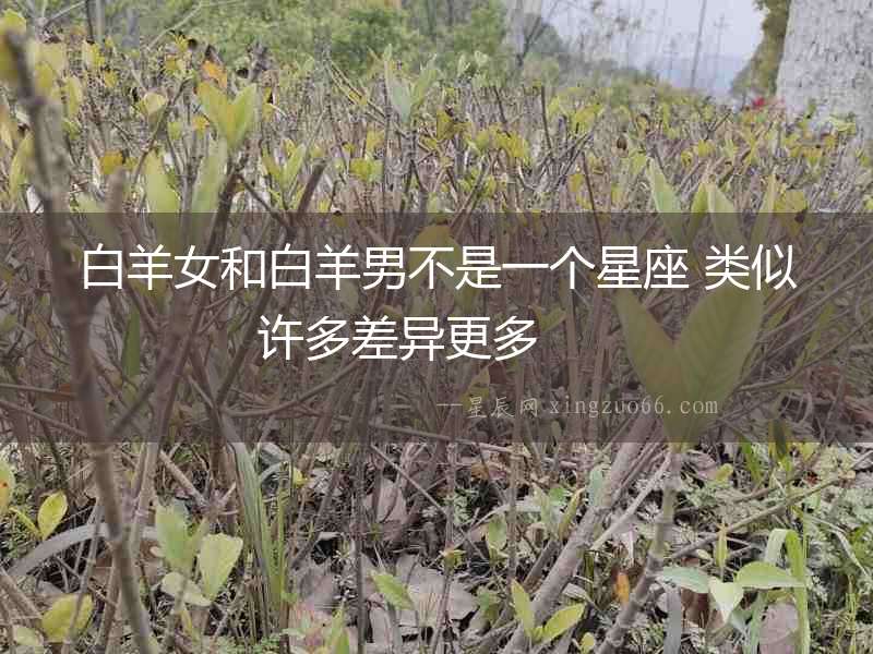 白羊女和白羊男不是一個星座 類似許多差異更多  　　