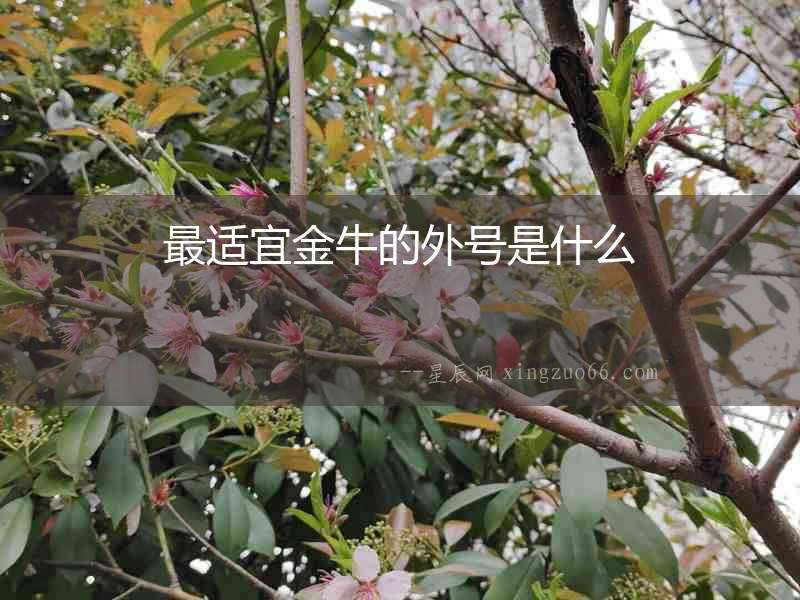 最適宜金牛的外號是什么
