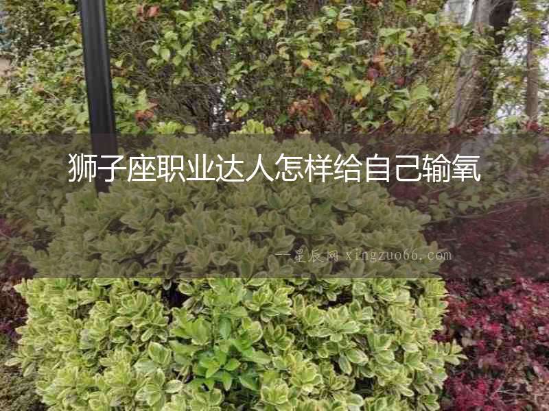 獅子座職業達人怎樣給自己輸氧