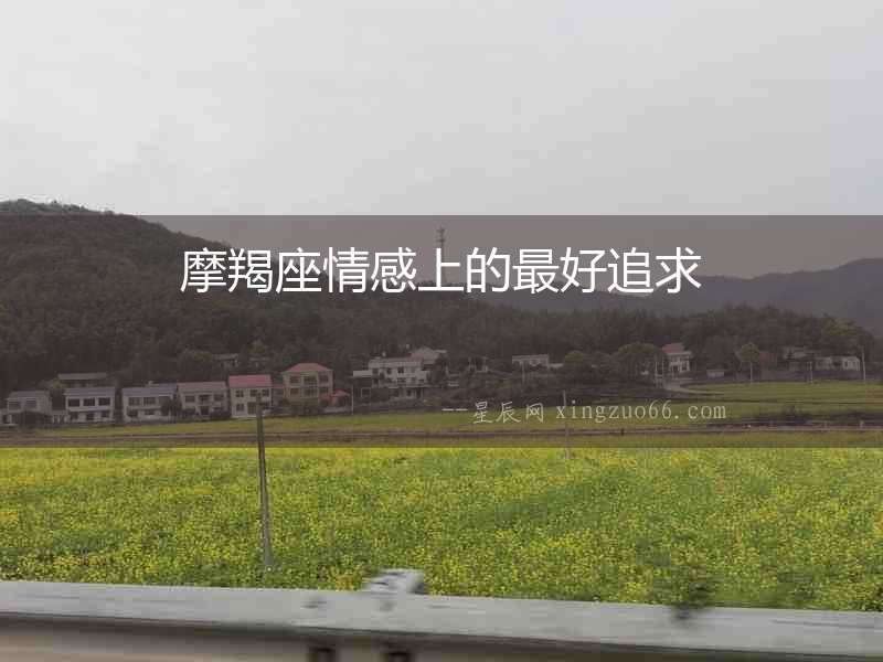 摩羯座情感上的最好追求