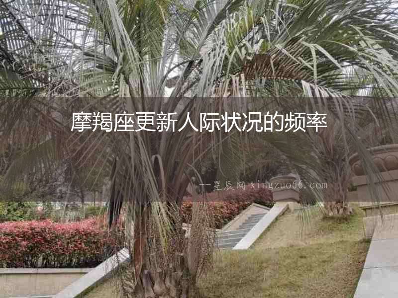 摩羯座更新人際狀況的頻率