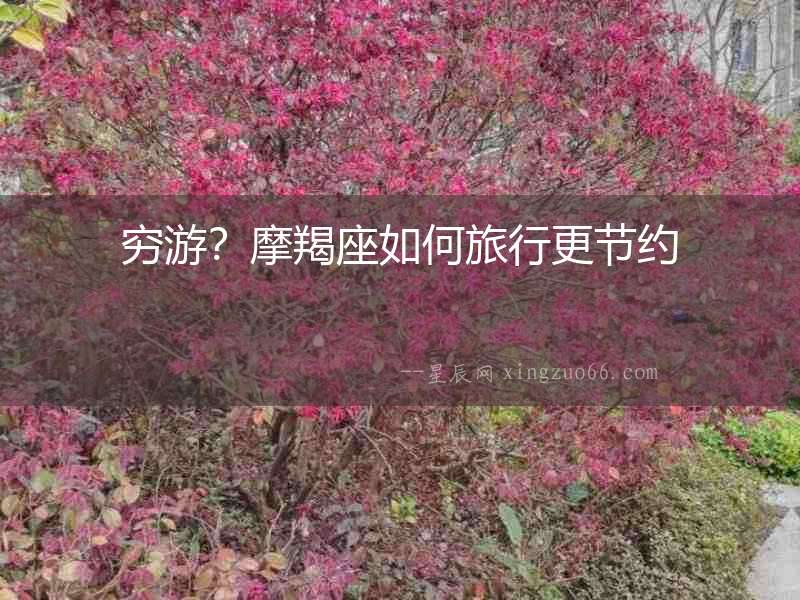 窮游？摩羯座如何旅行更節約
