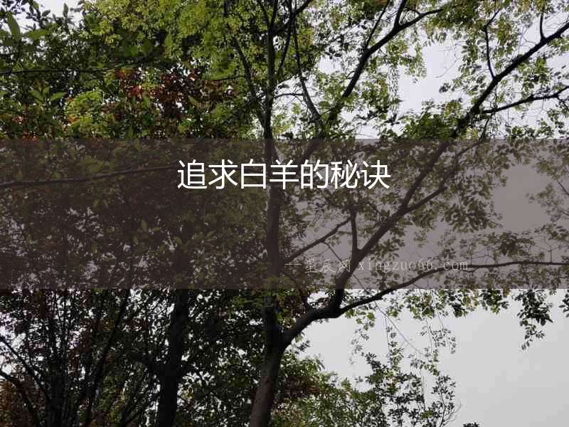 追求白羊的秘訣