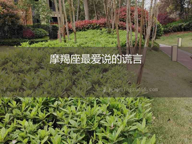 摩羯座最愛說的謊言