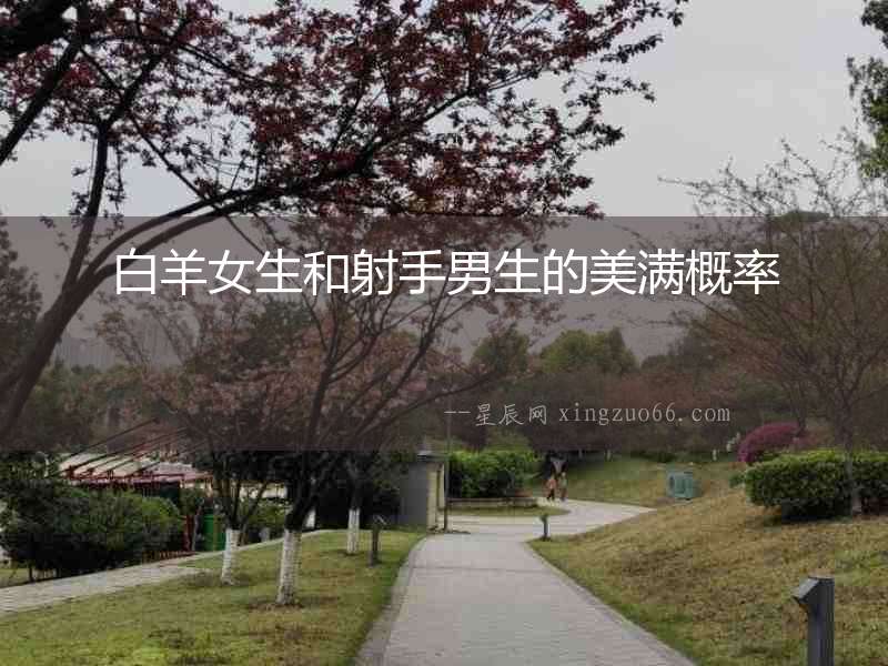 白羊女生和射手男生的美滿概率