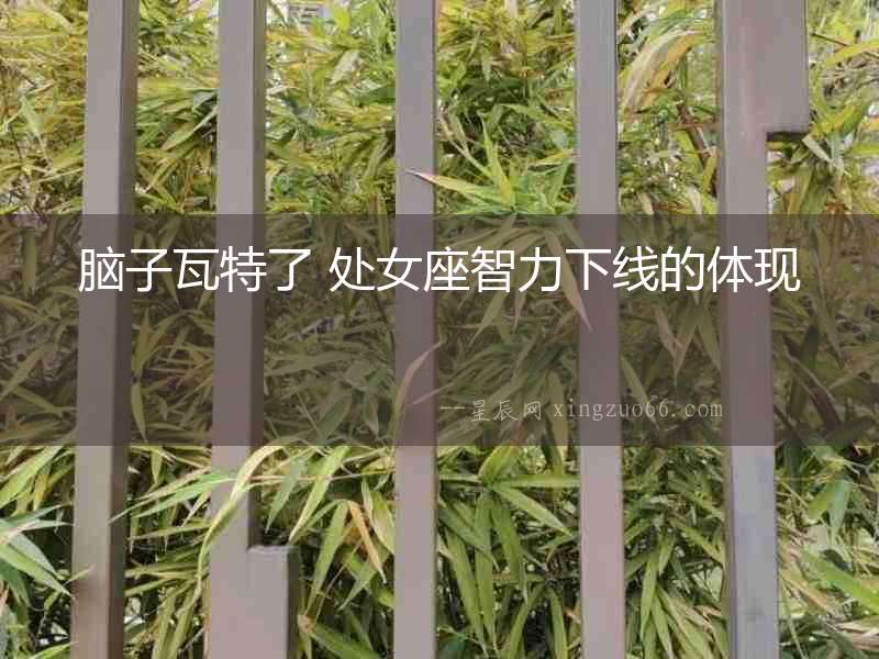 腦子瓦特了 處女座智力下線的體現(xiàn)