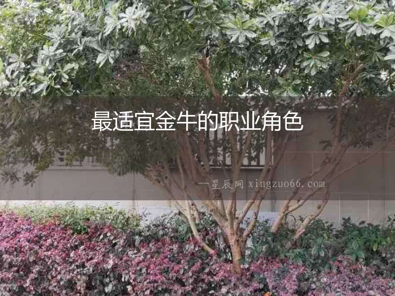 最適宜金牛的職業角色