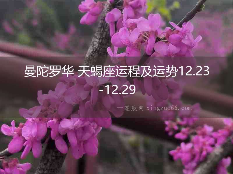 曼陀羅華 天蝎座運程及運勢12.23-12.29