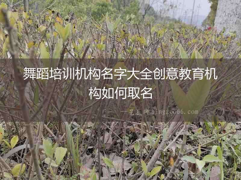 舞蹈培訓機構名字大全創意教育機構如何取名